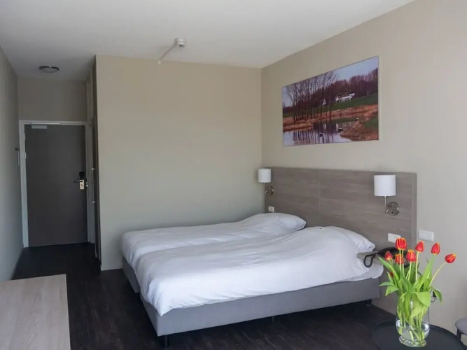 Comfort Double room with balcony