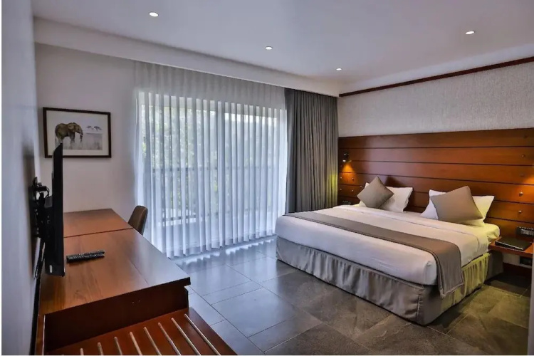 The Violet Thekkady