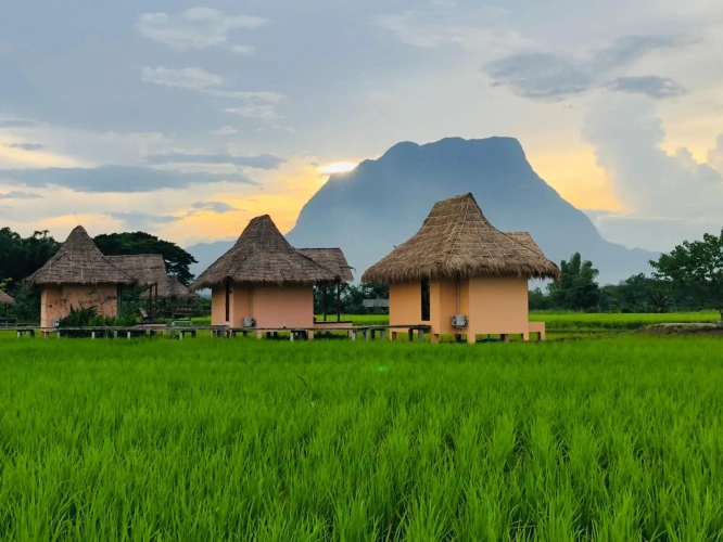 Double Bungalow