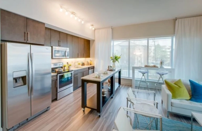1 Bedroom Apartment