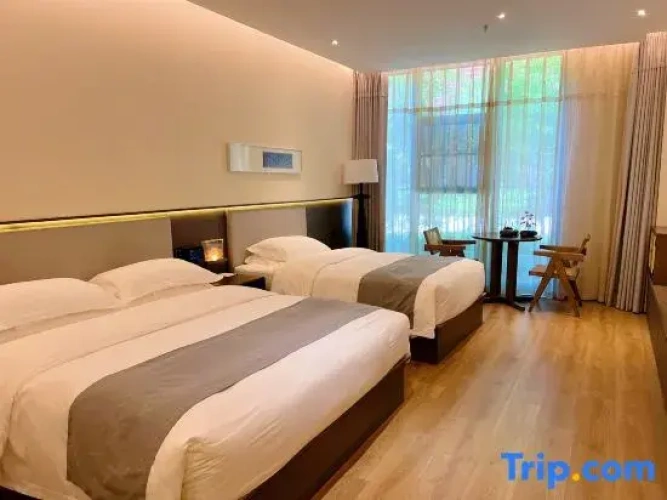 Standard Double Family room