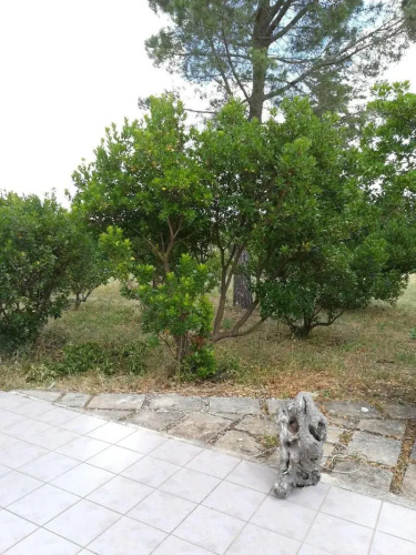Villa Due Trulli