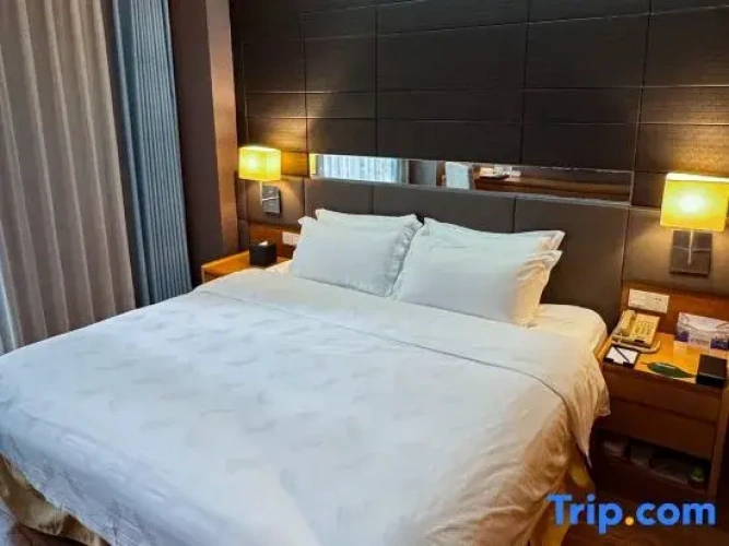 Single Family Suite