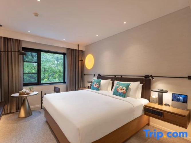 Superior Double room with city view