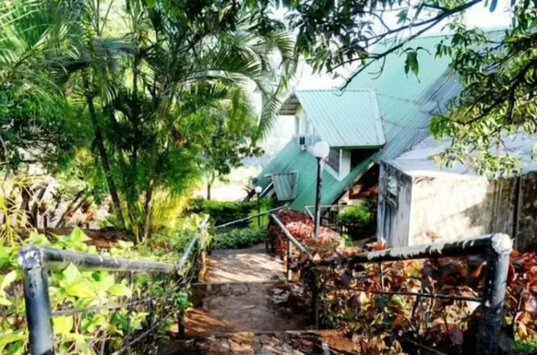 Wind Chalet Resort — фото 5