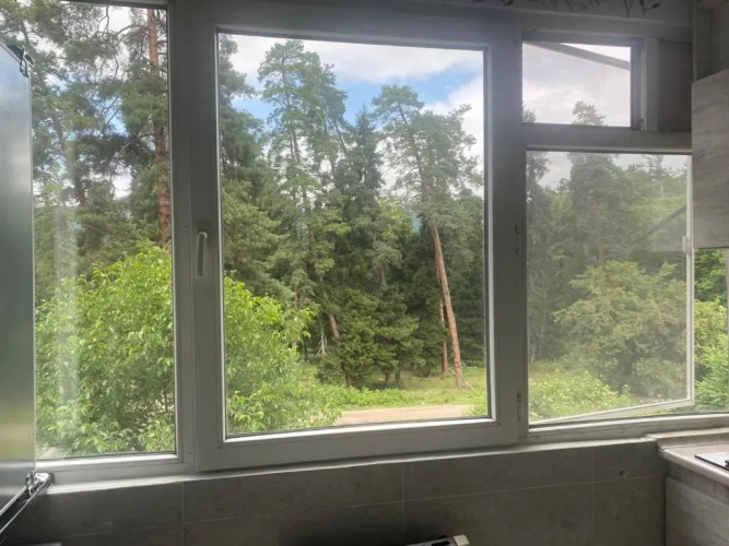 Lovely Apartment In the Forest