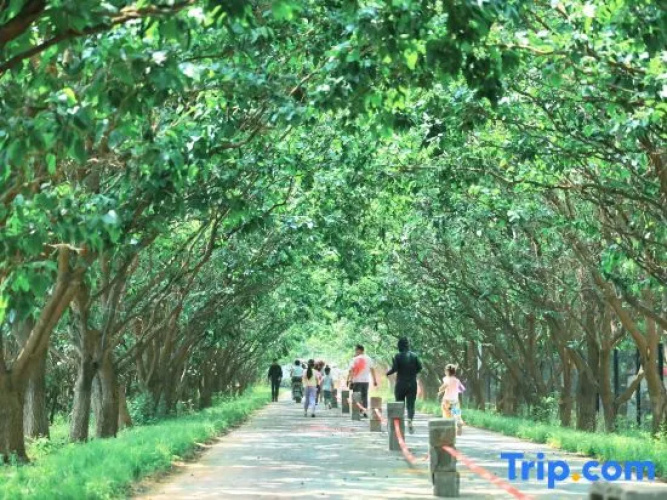 HiMaMa Parent-Child Farm