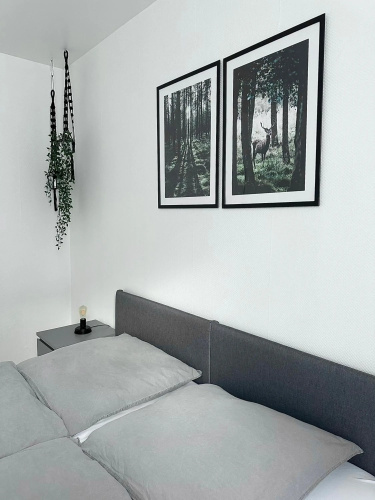 Ferienwohnung Harz Hexe Wernigerode