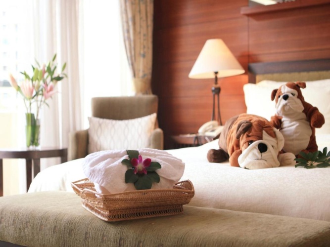 Superior Double room with balcony and with view