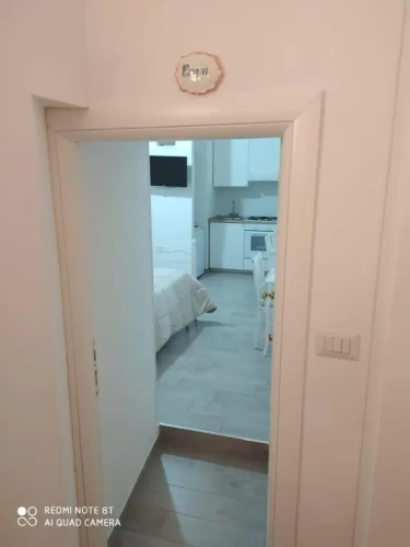 Standard Double room with park view