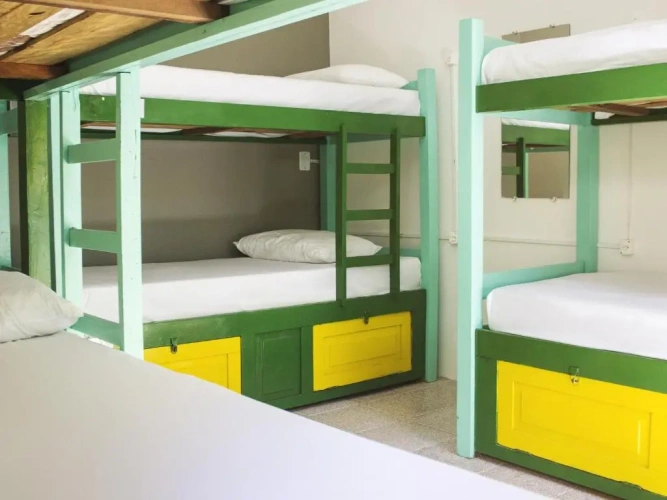 Bed in Dorm