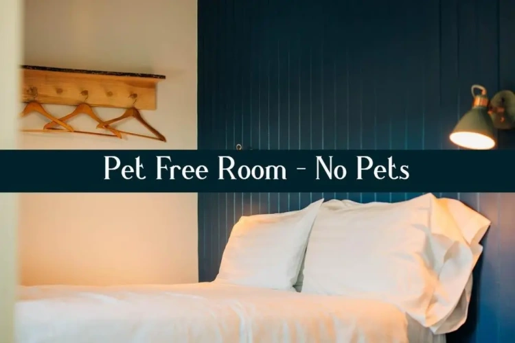 Standard Double room with sea view
