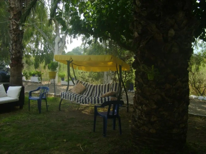 Studio