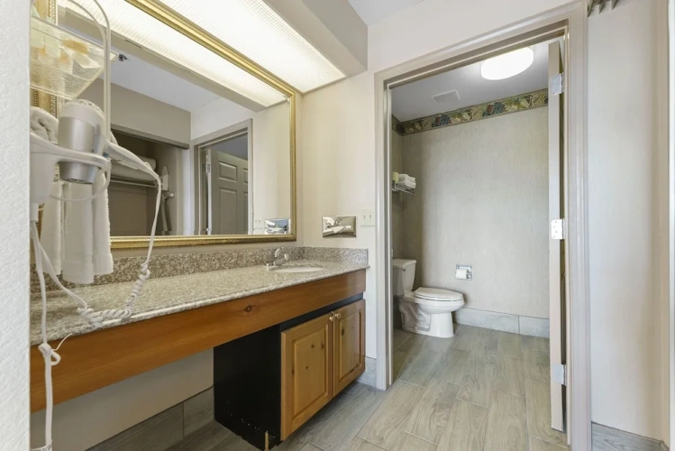 Family Apartment