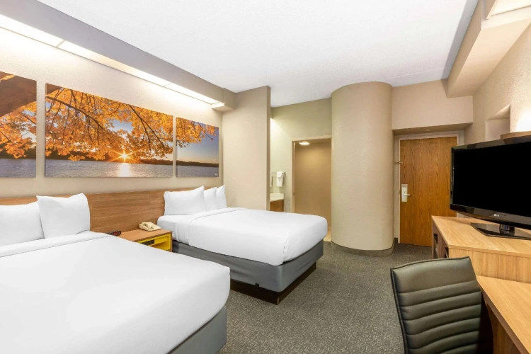 Quadruple Suite