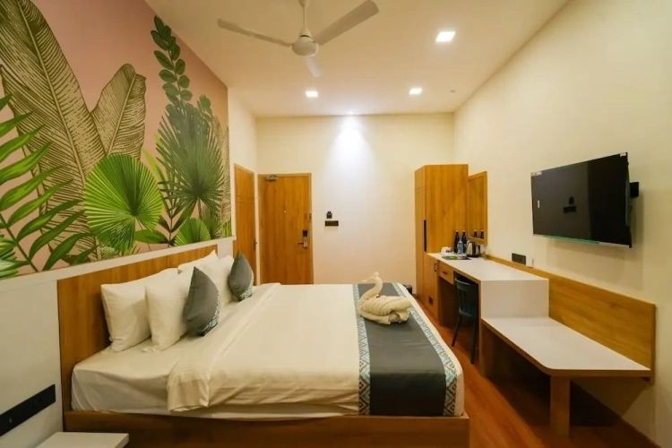 Deluxe Double room with balcony and with view