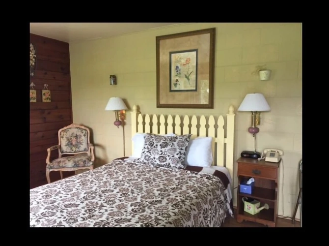 Standard Double room with garden view