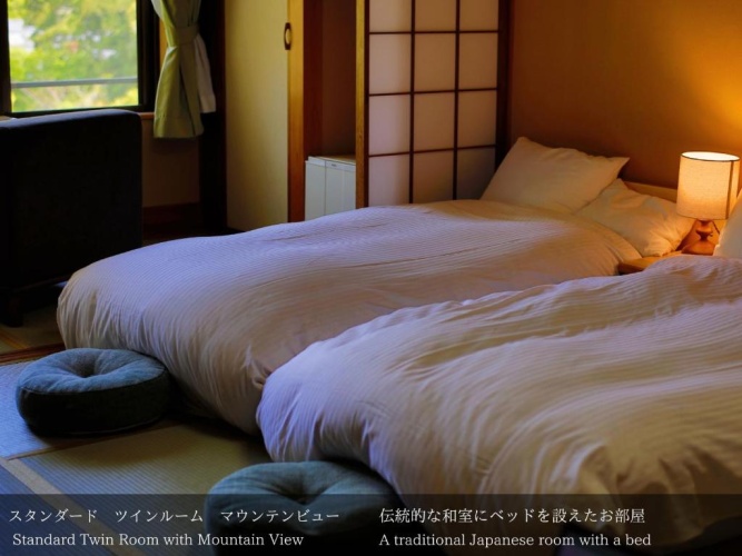 Standard Twin room with mountain view