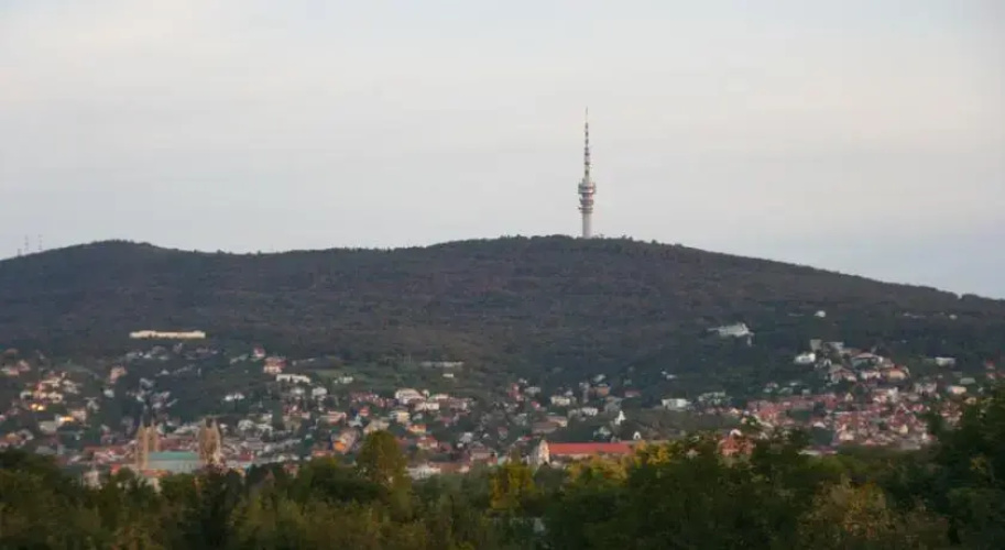 Liget Apartman