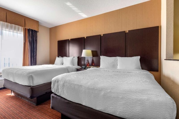 Standard Suite