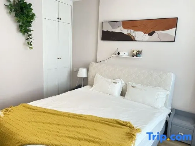 1 Bedroom Suite