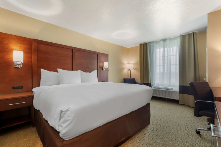 Standard Double room