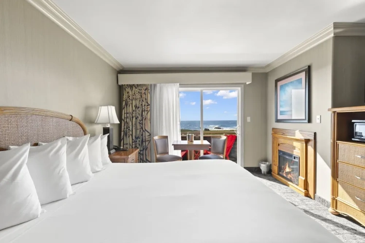Standard room with balcony and with ocean view