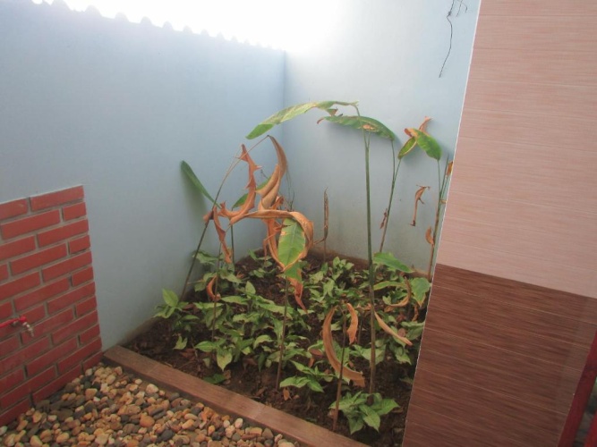 Superior Double room with balcony and with garden view