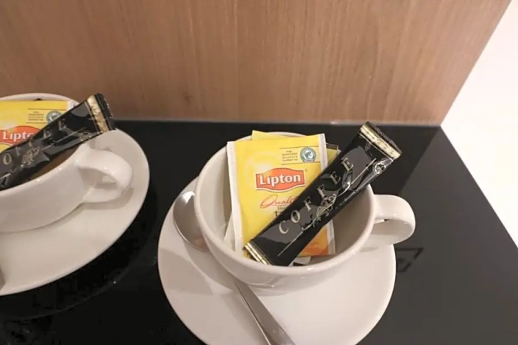 Deluxe Double Suite