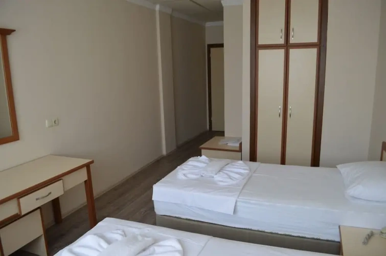 Standard Twin room with land view