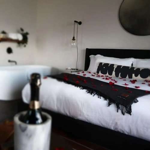Standard Double room with river view