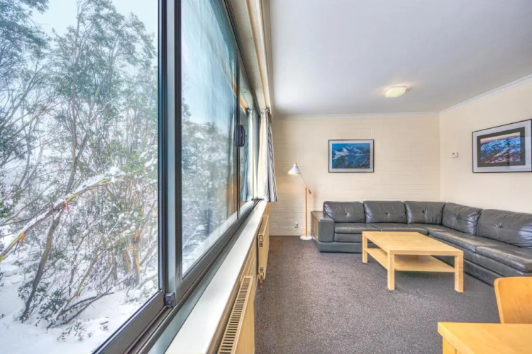 Snow Ski Apartments 09