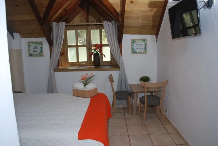 Standard Double room with garden view