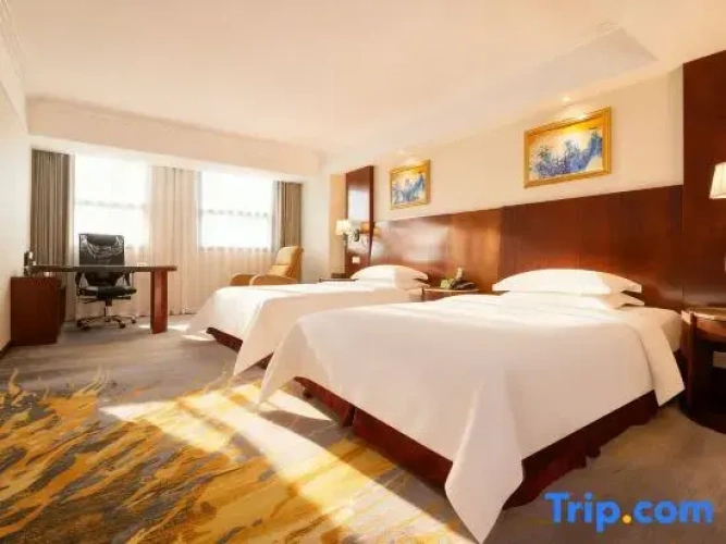 Premium Twin Suite