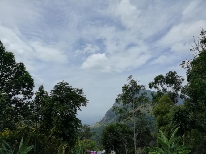 Standard Double room with balcony and with view