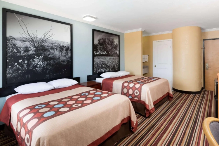 Standard Quadruple room
