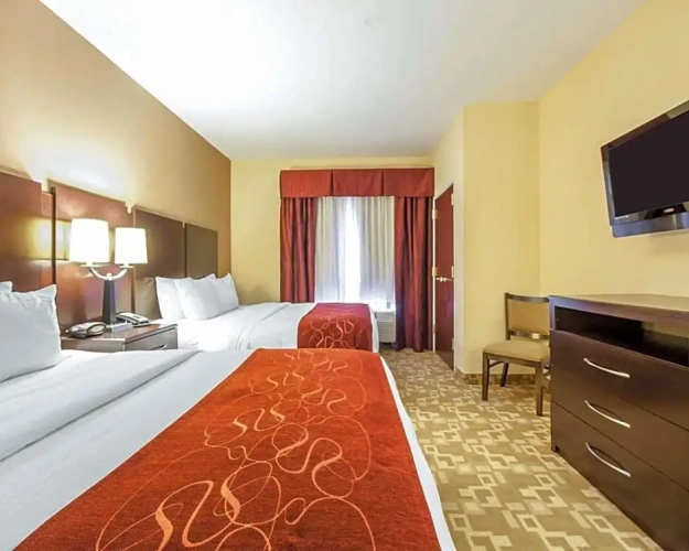 Suite