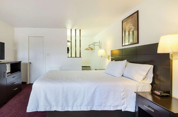 Standard Double Basement room