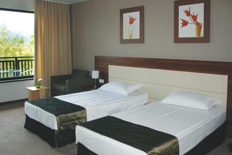 Standard Double room with balcony and with view