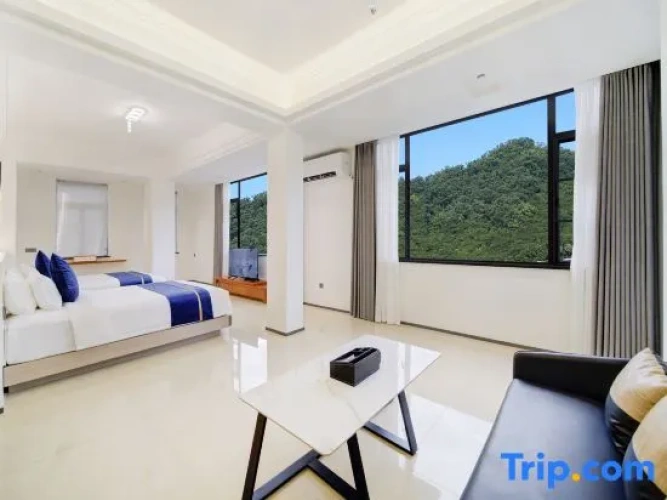 Deluxe Twin room with ocean view