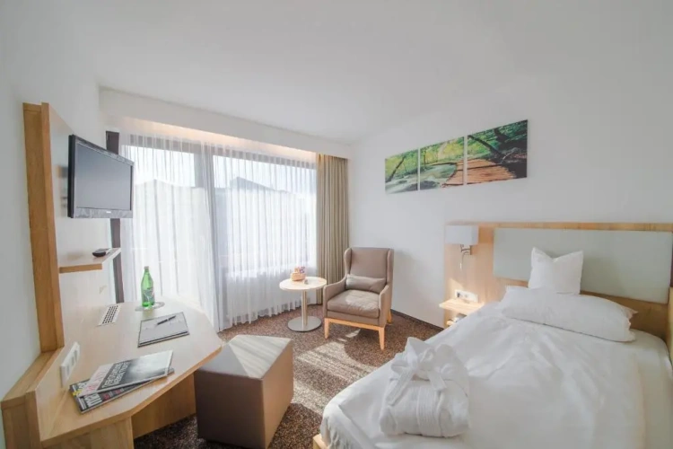 Standard Single room with balcony and with view
