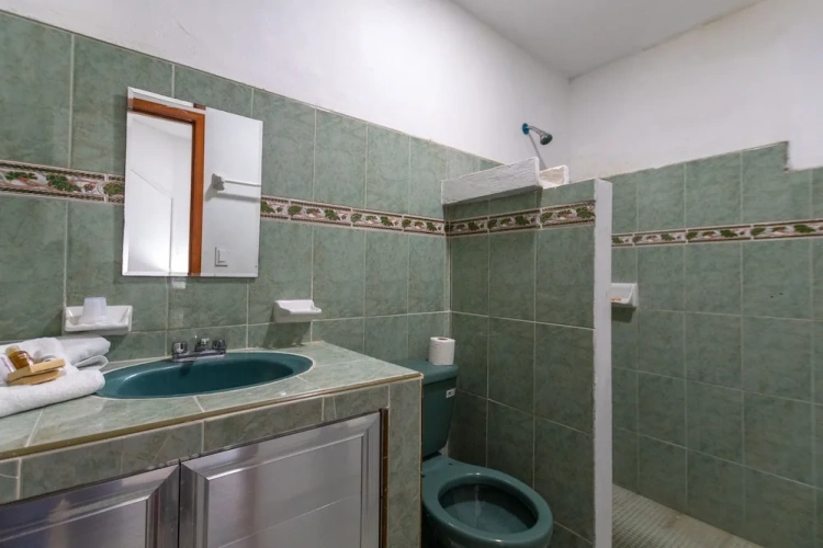 Executive Single room