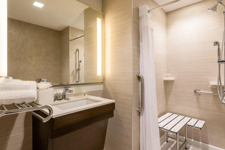 Holiday Inn Brooklyn Downtown photo 10