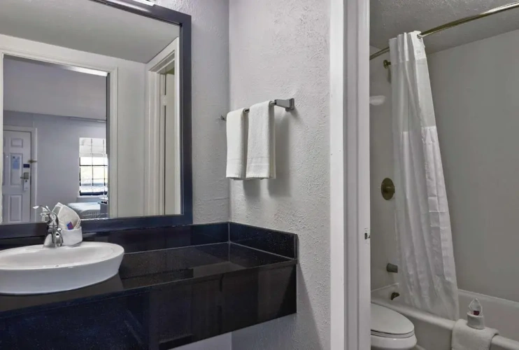 Deluxe Double Suite