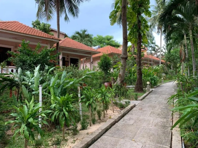 Standard Double room with garden view