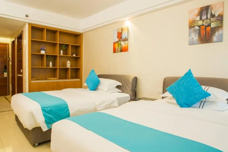 Standard Twin room with city view