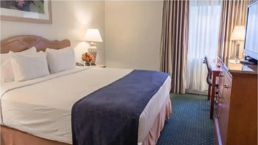 Standard room