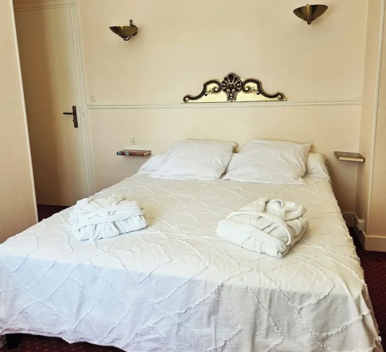 Comfort Double room with park view