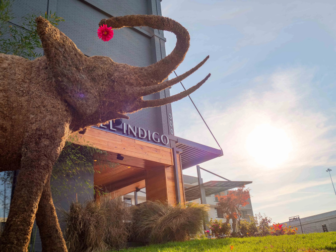 Hotel Indigo Chattanooga - Downtown photo 27