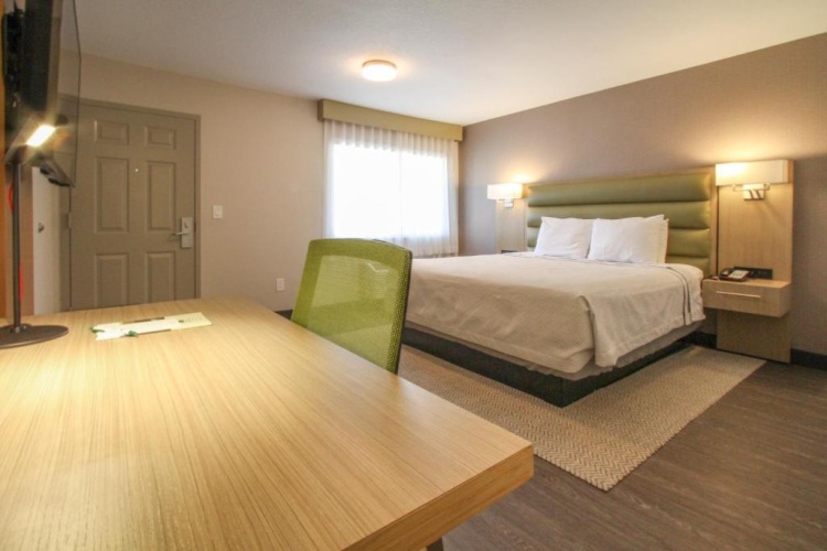 Standard Single room